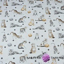 Cotton beige cats on light gray background