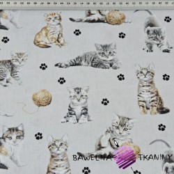 Cotton beige cats on light gray background