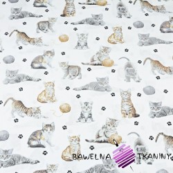 Cotton beige cats on white background