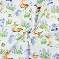 Cotton Forest animals in the meadow on a white background