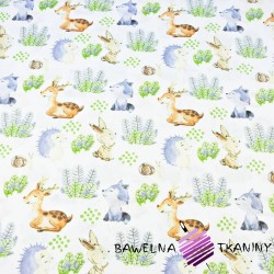Cotton Forest animals in the meadow on a white background