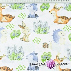 Cotton Forest animals in the meadow on a white background