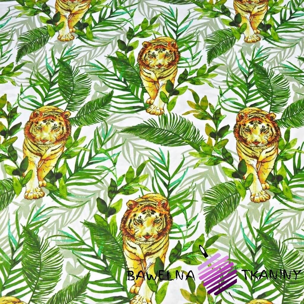 Cotton Tigers with palm leaves on a white background