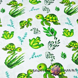 żółwie morskie zielone na białym tle