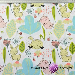 Cotton pigs with sheep in a meadow on a white background
