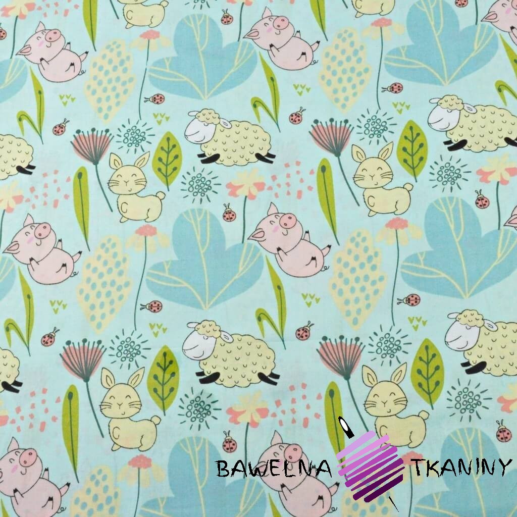 Cotton pigs with sheep in a meadow on a light mint background