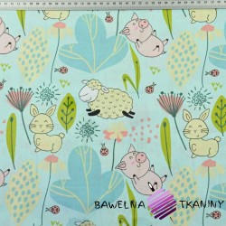Cotton pigs with sheep in a meadow on a light mint background