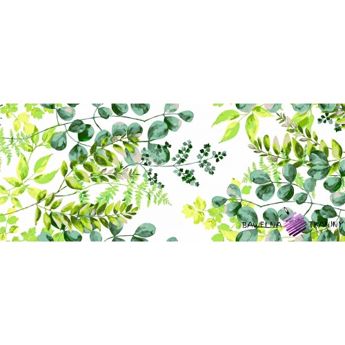 Cotton green eucalyptus leaves on a white background - 220 cm
