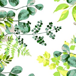 Cotton green eucalyptus leaves on a white background - 220 cm