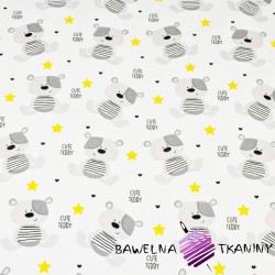Cotton gray teddy bears with yellow stars on white background