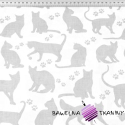 Cotton gray cats contours on white background