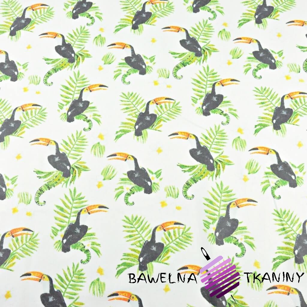 Cotton toucans on fern leaves on white background