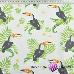 Cotton toucans on fern leaves on white background