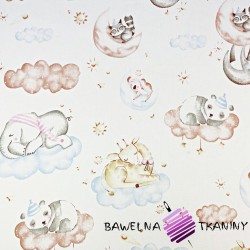 Cotton animals sleeping on clouds and moons on a white background