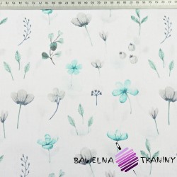 Cotton turquoise-gray wildflowers on a white background