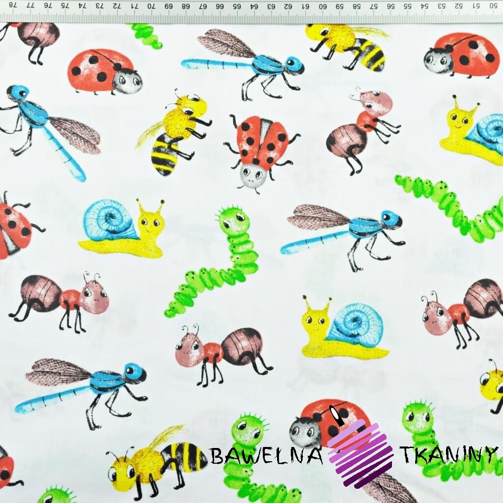 Cotton colorful insects and snails on a white background