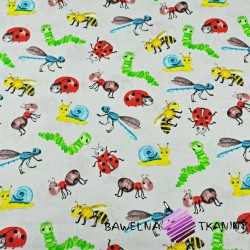 Cotton colorful insects and snails on a gray background