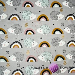 gray-mint hedgehogs with a rainbow on a gray background