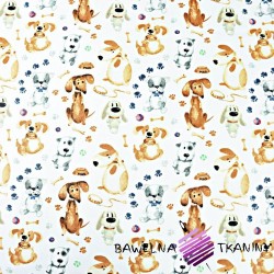 Cotton dogs and dachshunds on a white background