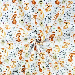 Cotton dogs and dachshunds on a white background