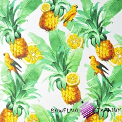 Cotton leaves with parrots and pineapples on white background