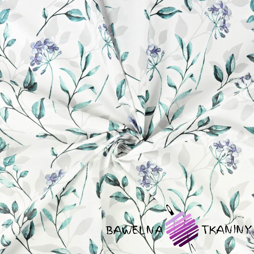 Cotton violet flowers with emerald gray leaves on white background