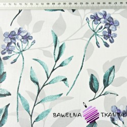 Cotton violet flowers with emerald gray leaves on white background