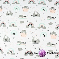 Cotton gray, mint and apricot cats with a rainbow on a white background
