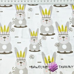 Cotton Apache rabbits on a white background