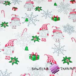 wzór świąteczny skrzaty w parach ze śnieżynkami na białym tle