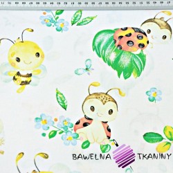 Cotton ladybugs with bees on a white background