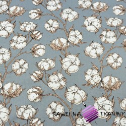 Cotton buds flowers on dark gray background