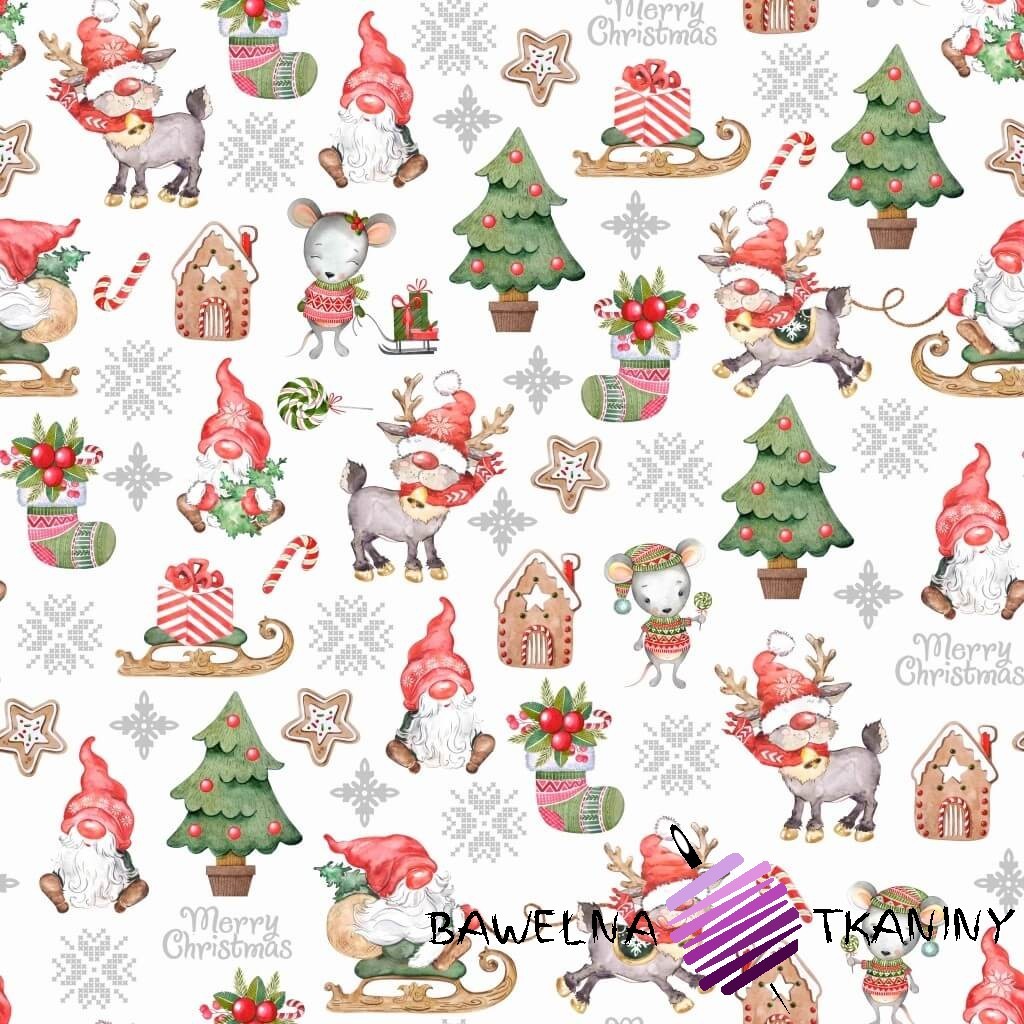 Bawełna wzór świąteczny skrzaty z myszkami na białym tle