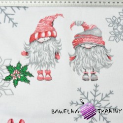 Flannel pattern of Christmas sprites in pairs with snowflakes on a white background