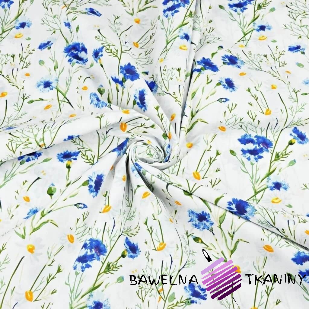 Cotton cornflowers and chamomiles on a white background