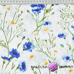 Cotton cornflowers and chamomiles on a white background