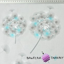 Cotton gray&blue dandelion on gray background