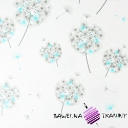 Cotton gray&blue dandelion on white background