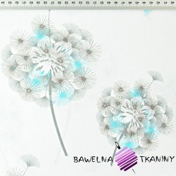 Cotton gray&blue dandelion on white background