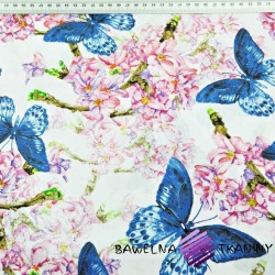 Cotton sapphire butterflies with pink flowers on a white background