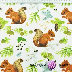 Cotton squirrels with cones on a white background