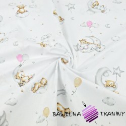 Cotton Teddy bears sleeping on the moons with balloons on a white background