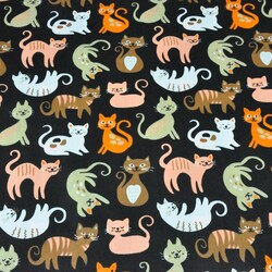 Cotton orange-brown kittens on a black background