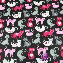 kotki różowo szare na czarnym tle