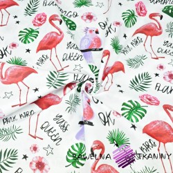 flamingi i papugi z listkami na białym tle