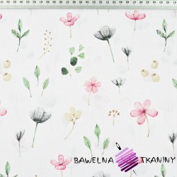 Cotton pink-gray-green wildflowers on a white background