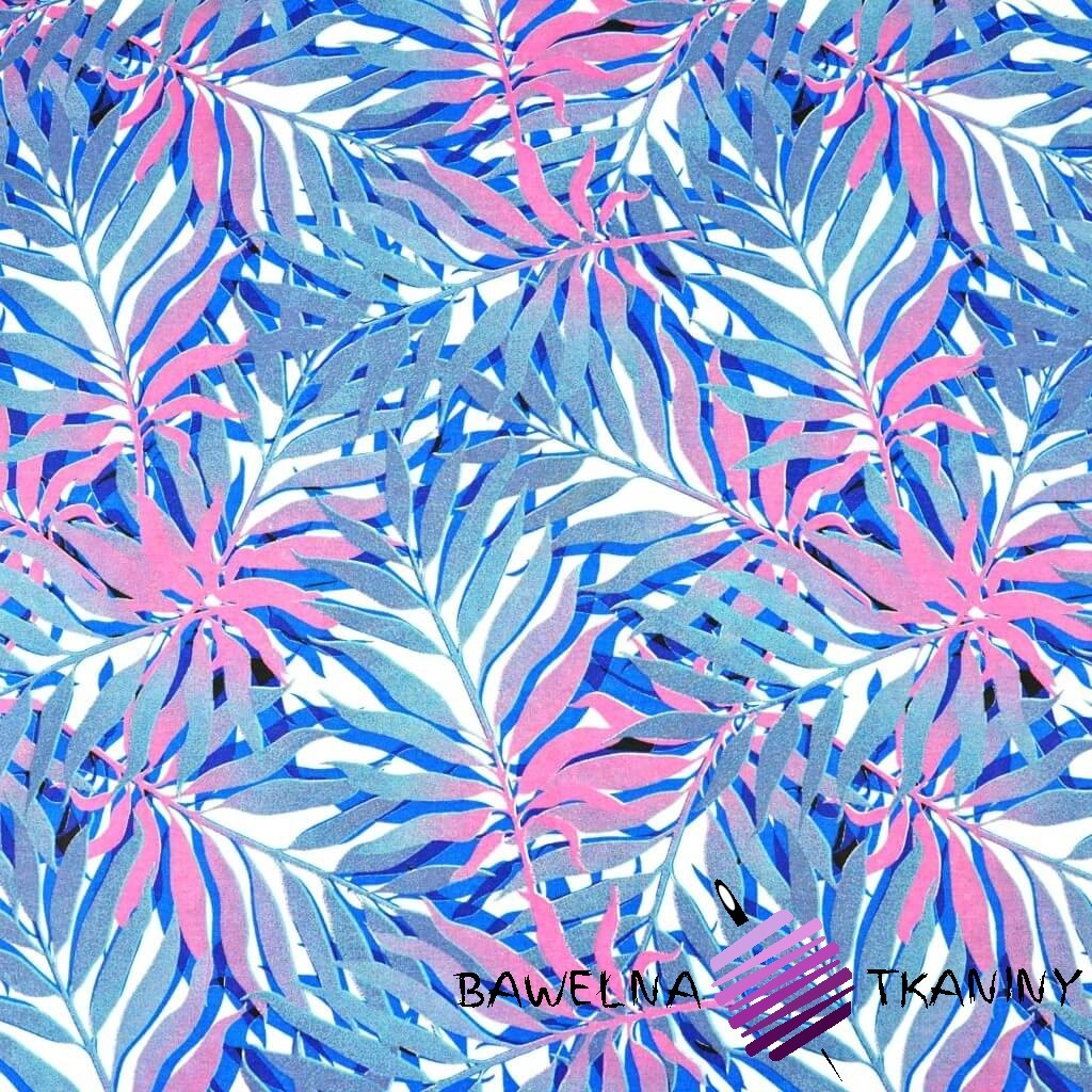 Cotton blue-pink palm leaves on a white background