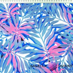 Cotton blue-pink palm leaves on a white background