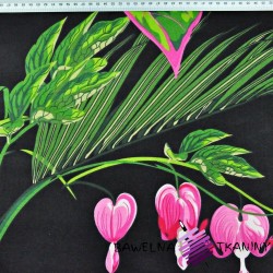 Cotton flowers in pink hearts with green leaves on black