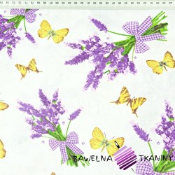 Cotton Lavender flowers with butterflies on a white background